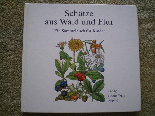 Schätze aus wald - schätze,