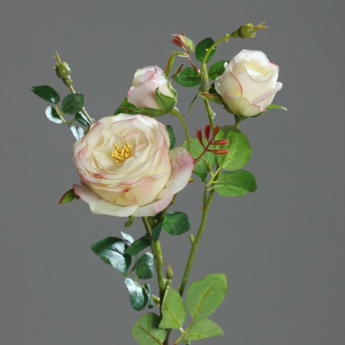 Premium rosen zweig 60cm - rosen-,