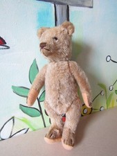 Steiff antiker Teddy, 22 cm, gegliedert, mit Stimme, 40/50er-J., rar!