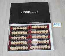 Willi Geller Creapearl Seitenzähne 10 Garnituren B4 NEU Art. Nr. P-77