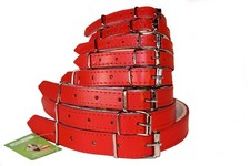 Echt Leder Hundehalsband Rot