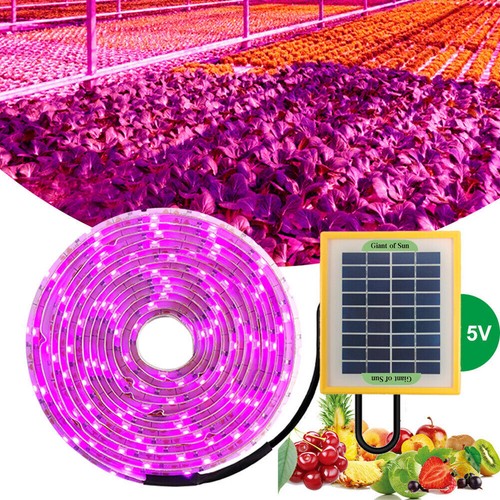 Solarenergie grow light strip - solarenergie,