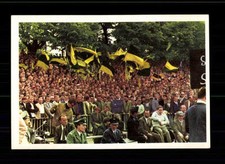 Borussia dortmund - borussia,