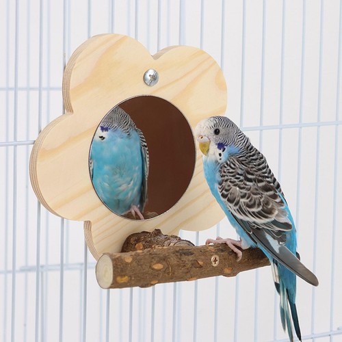 Vogelkäfig-Sitzstangen