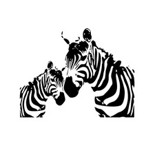 Wandtattoo Zebra Duo
