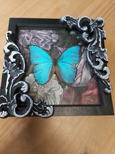 Riesiger blauer morpho - riesiger,