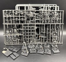 14 Skelettkrieger Khemri