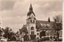 Postkarte :  LEIPZIG  - Zoo mit Kongreßhalle  ; ca.1957