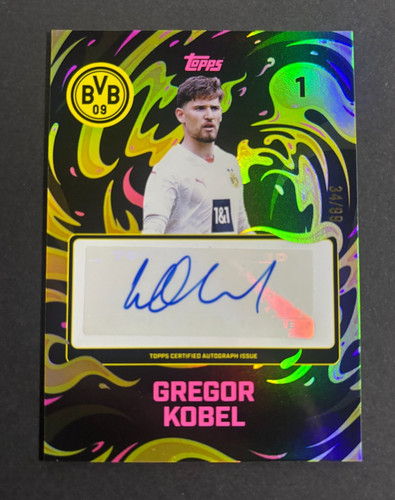 Topps bvb team set 2024 - bvb,