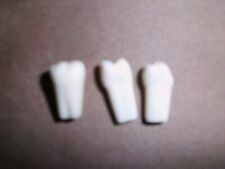 Frasaco Zähne 3 Prämolaren Molar Zahnmedizin Studium Üben Zahntechnik