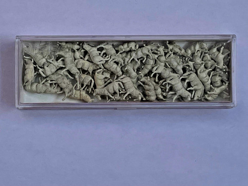 Preiser 14411 ho1 - 14411, ho1:87