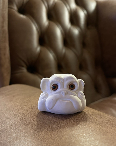 Englische bulldogge - englische,