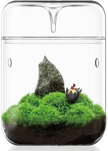Kleines glas pflanzenterrarium - kleines, glas-pflanzenterrarium