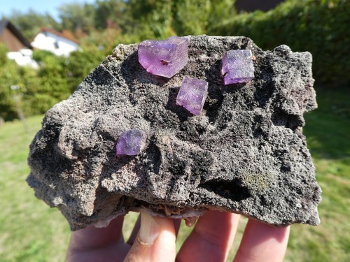 Fluorit von ojuela mine - von,