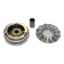 Variomatik Standard + Steigscheibe 12mm 50ccm 2T Peugeot Looxor Zenith Trekker