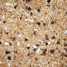 Gladen - Agaporniden Zwergpapageien & Großsittiche-Futter - 2,5kg