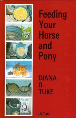 Feeding your horse pony - horse,