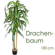 Drachenbaum Kunstpflanze