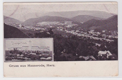 81918 gruss aus hasserode - ak,