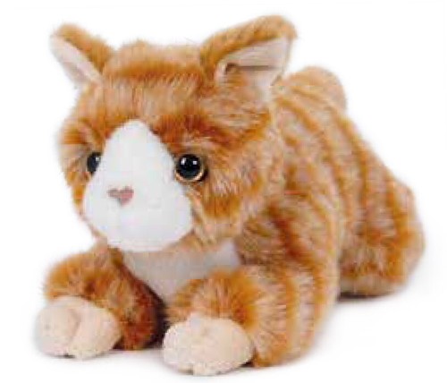 Katze rot orange liegend - katze, rot/orange
