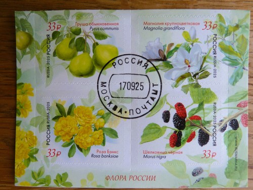 Russland 2025 briefmarken - briefmarken, zd