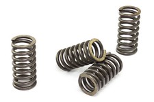 Kupplungsfedern Satz verstärkt EBC CSK047 für Honda CB 400 N CBR 600 F CM 400 T