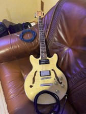 E-Gitarre Pasadena semi-hollow