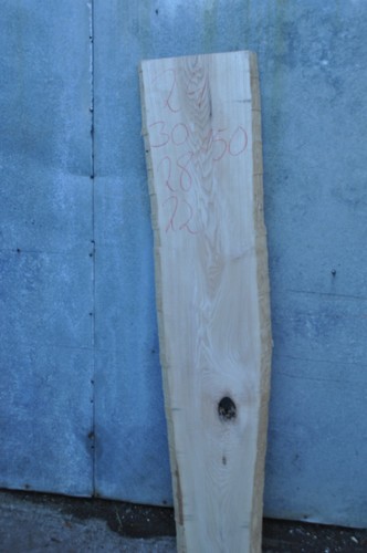 Holz bohle esche nr 24 - ,