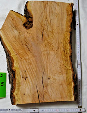 Apriсosenholz Aprikosenbaum