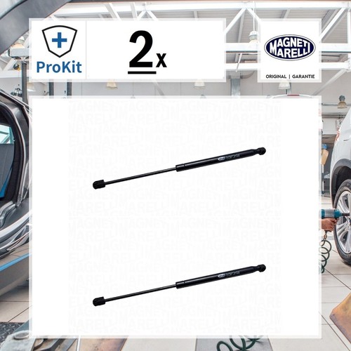 Original magneti marelli - 2x,