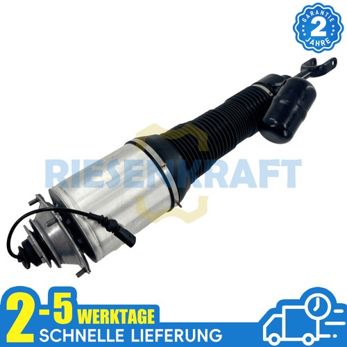 Federbein luftfederung vorne - federbein,