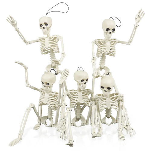Halloween schädel skelett - halloween,