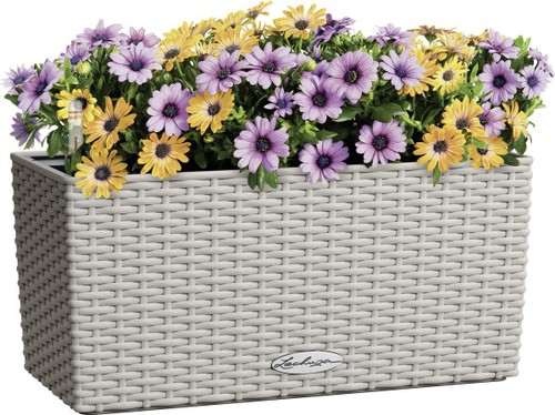 Lechuza blumenkasten set - lechuza, blumenkasten-set
