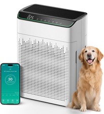 Luftreiniger Allergiker für