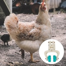 Küchen-Geflügel-Riemenrad