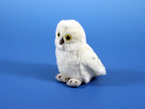 Mini eule schneeeule - mini-,
