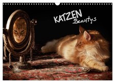 Katzen beautys wandkalender - beautys, (wandkalender