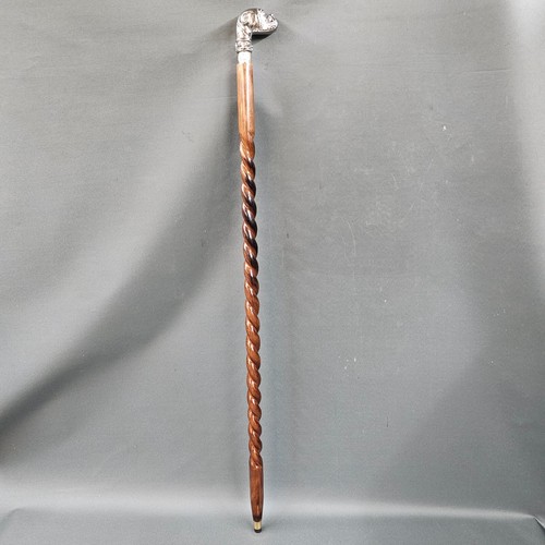 Holz gehstock walking stick - ,