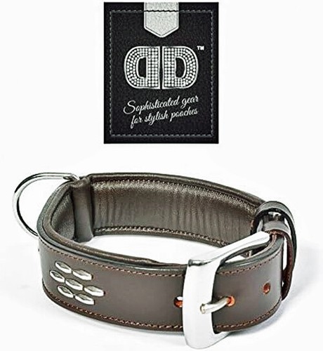 Halsband braun mit nieten echt - nieten,