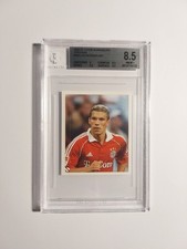 Panini bundesliga 2006 - bundesliga, 2006-07