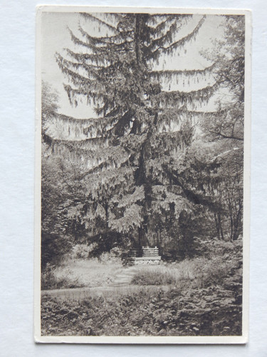 Karl schmidt bank - karl-schmidt-bank, eingang