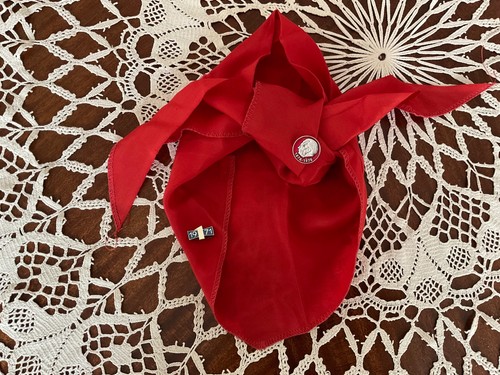 Rotes pionierhalstuch von - rotes,