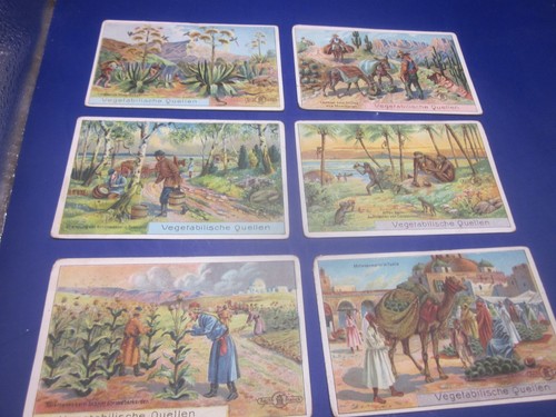 424306x sammelbild serie - 424306x,