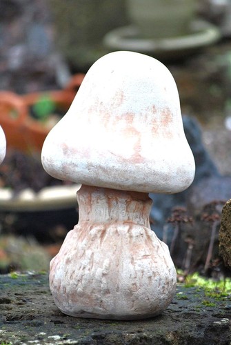 Pilz aus terracotta - terracotta, –