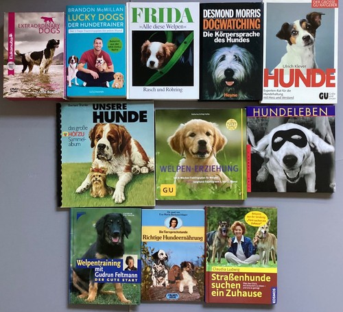 Hunde welpen erziehung - welpen,