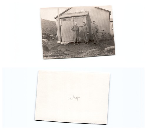 Hirschfelde - (a69745a415),