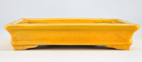 Bonsaischale koyo tokoname - bonsaischale,