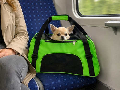 Neu hundetasche tragetasche - hundetasche,