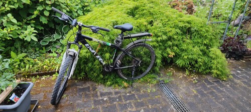 Mountainbike