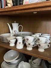 Rosenthal „Schattenrose“